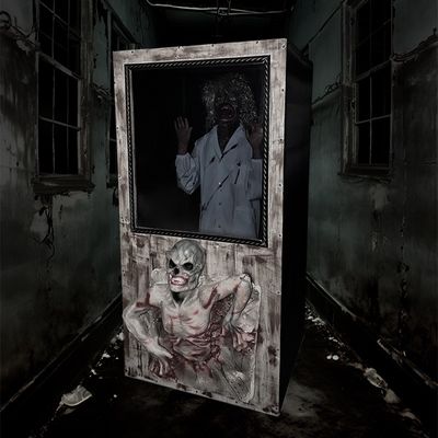 Mirror Horrible Beauty Haunted House Ghost Props Scary Sound Control