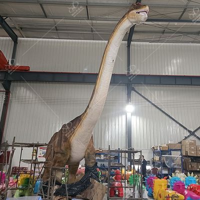 Lifelike Real Animatronic Dinosaur Types Long Neck For Museum