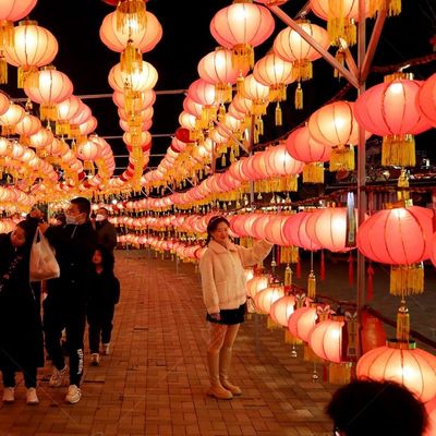 Steel Frame Chinese New Year Lantern Art For Festival Decoration