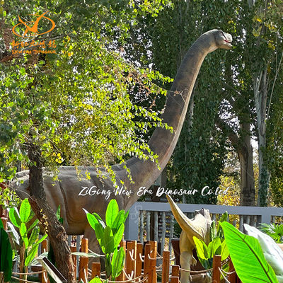 Lifelike Real Life Size Dinosaurs Model for Amusement Park And Museum